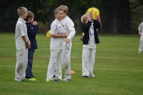 2015 Capel Juniors (33)