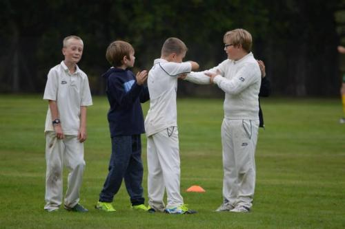 2015 Capel Juniors (9)