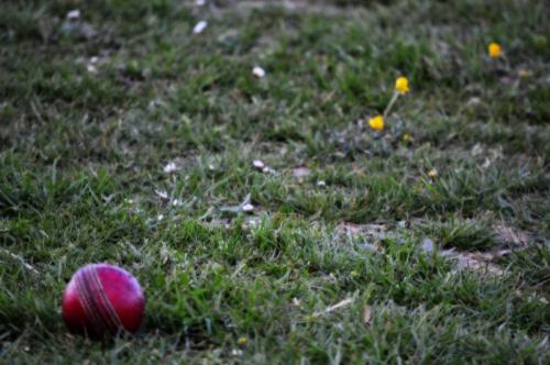 2016 Capel V Douglas Jardine 8th May (39)