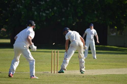 2018 Telston (14)