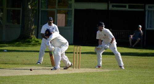 2018 Telston (19)