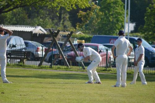 2018 Telston (8)