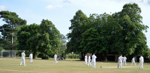 2020 Capel Seniors 2nd Aug (25)